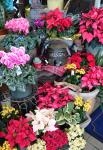 初投稿です|「カントリーフラワーひまわり」　（茨城県那珂市の花屋）のブログ